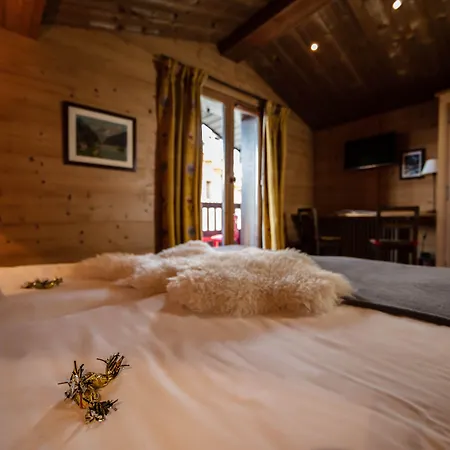 La Savoyarde Hotel 3*